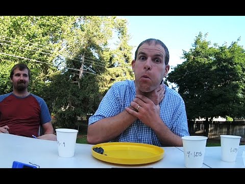 Most Blueberries Stuffed in the mouth - 124 - World Record